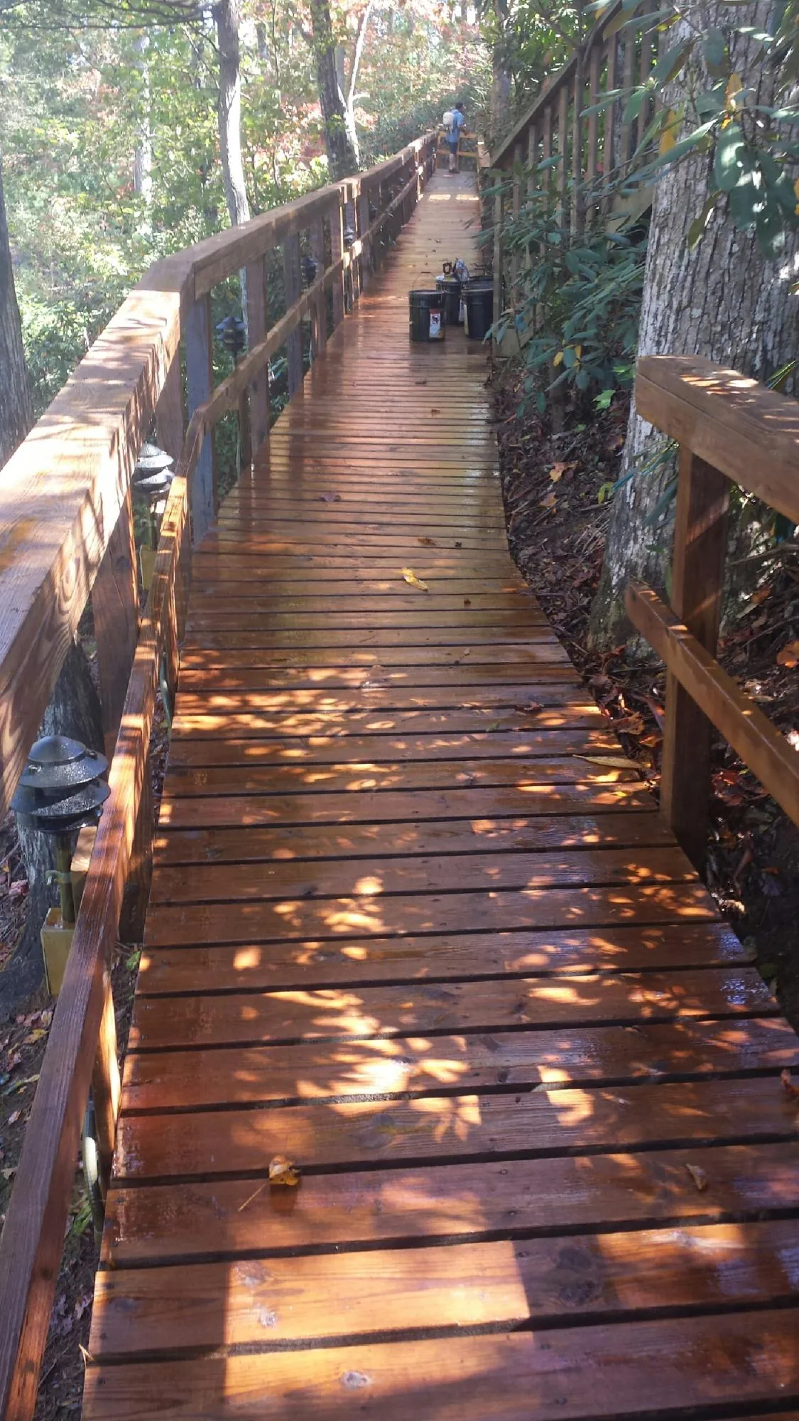 Freshly stained wood walkway winding through the woods in Colfax